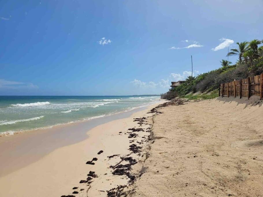 Luxury 5-Br Beachfront Home In Tulum Casa Sofia Gato Экстерьер фото