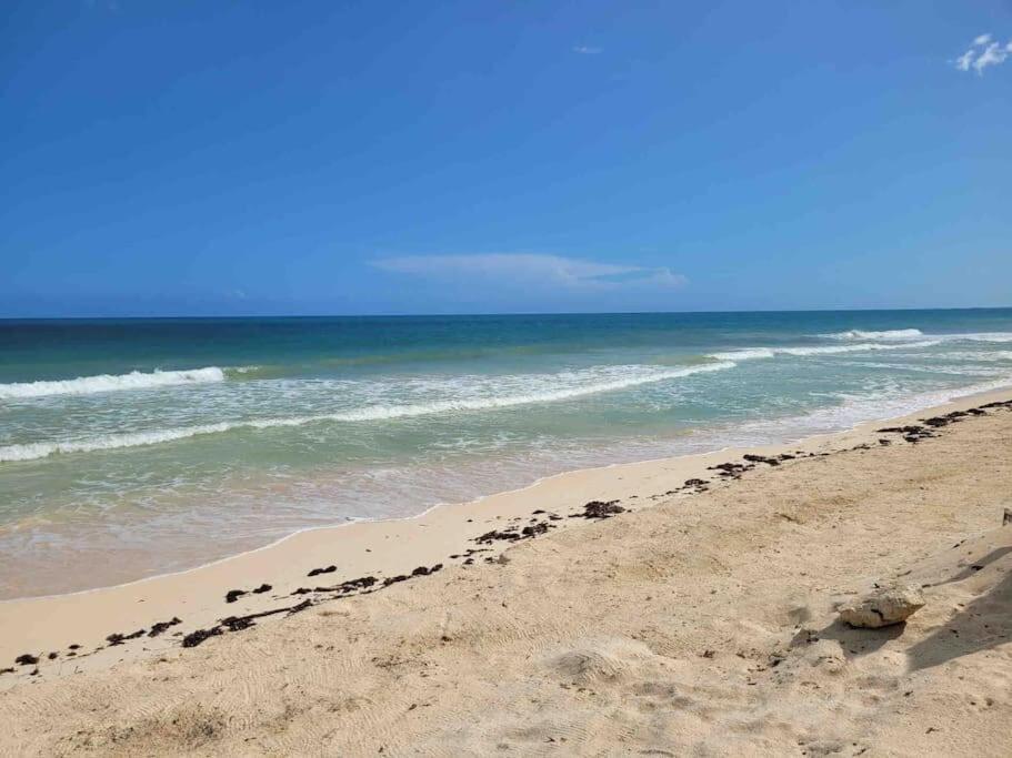 Luxury 5-Br Beachfront Home In Tulum Casa Sofia Gato Экстерьер фото