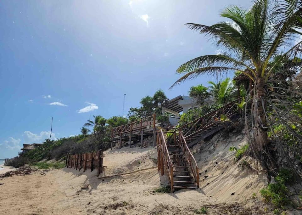 Luxury 5-Br Beachfront Home In Tulum Casa Sofia Gato Экстерьер фото