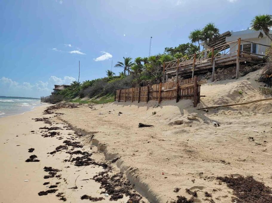 Luxury 5-Br Beachfront Home In Tulum Casa Sofia Gato Экстерьер фото